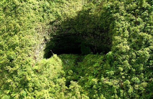 fern-grotto-wailua-river-kauai-ana-livingston-fine-artist-tampa-bay