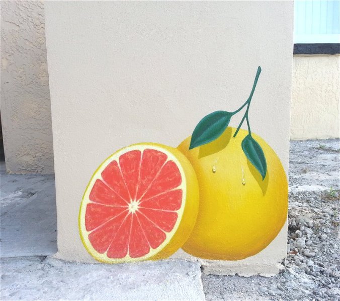 grapefruit-mural-day-eight-ana-livingston-fine-artist-clearwater-florida-2-panel-one